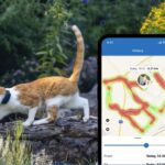 Tractive cat tracker is a real-time spy into feline antics