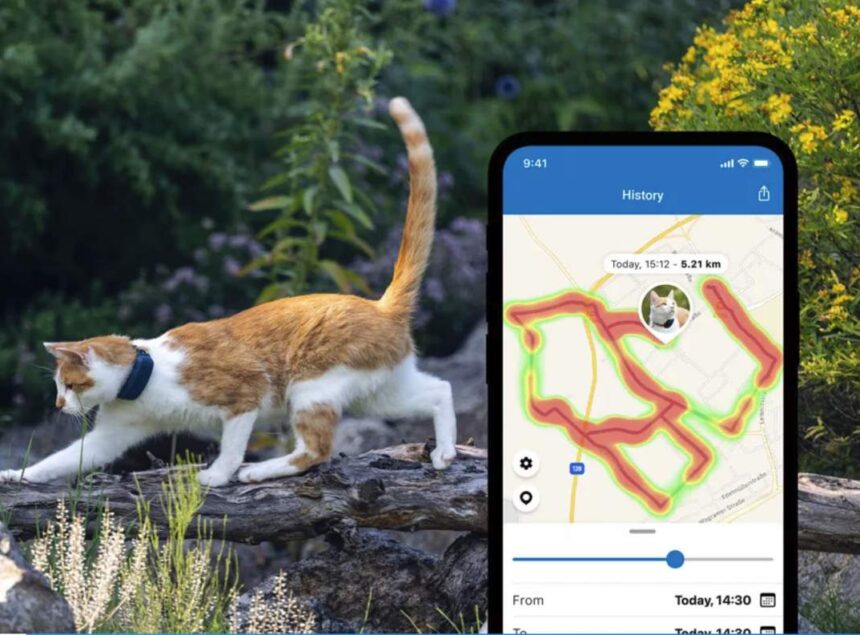 Tractive cat tracker is a real-time spy into feline antics